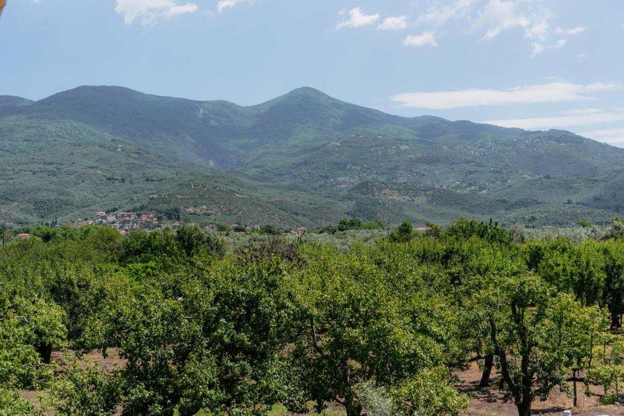 فيلا Karavos Grove Káto Lekhónia المظهر الخارجي الصورة